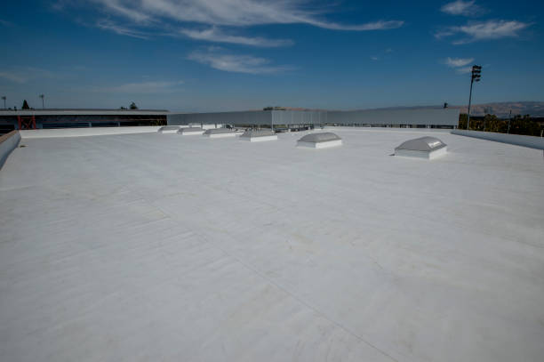 Best Roof Ventilation Installation  in Osprey, FL